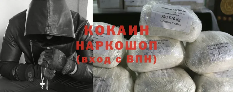 дарнет шоп  Магадан  Cocaine Эквадор 